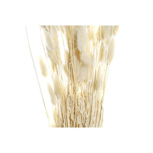 Ramo DKD Home Decor Beige Marrón Flor seca (12 x 12 x 76 cm) (2 Unidades)