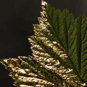 S05126645_23