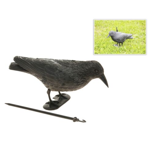 Ahuyentador EDM Pájaros 19 x 39 cm Polipropileno